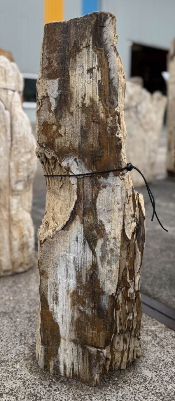 Memorial stone petrified wood 57142