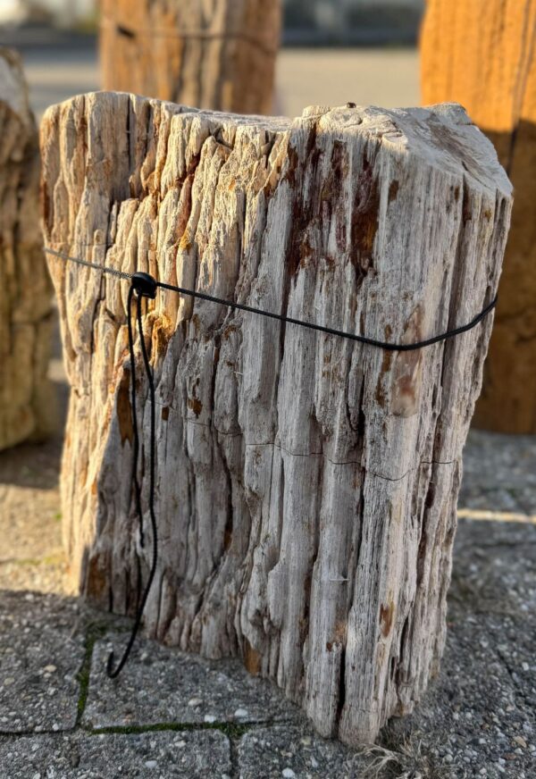 Memorial stone petrified wood 57143