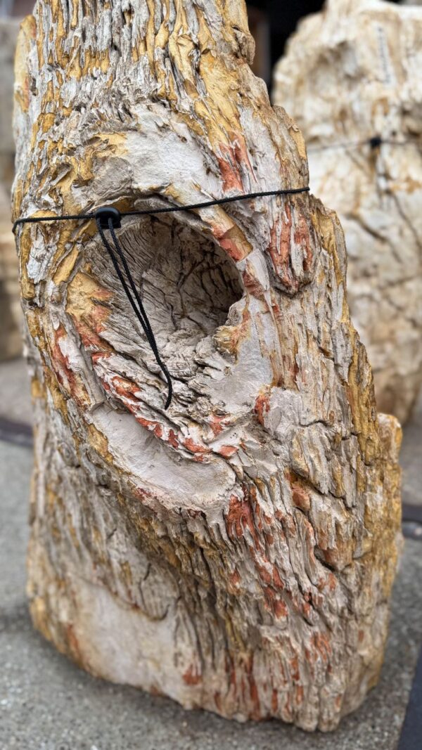 Memorial stone petrified wood 57156