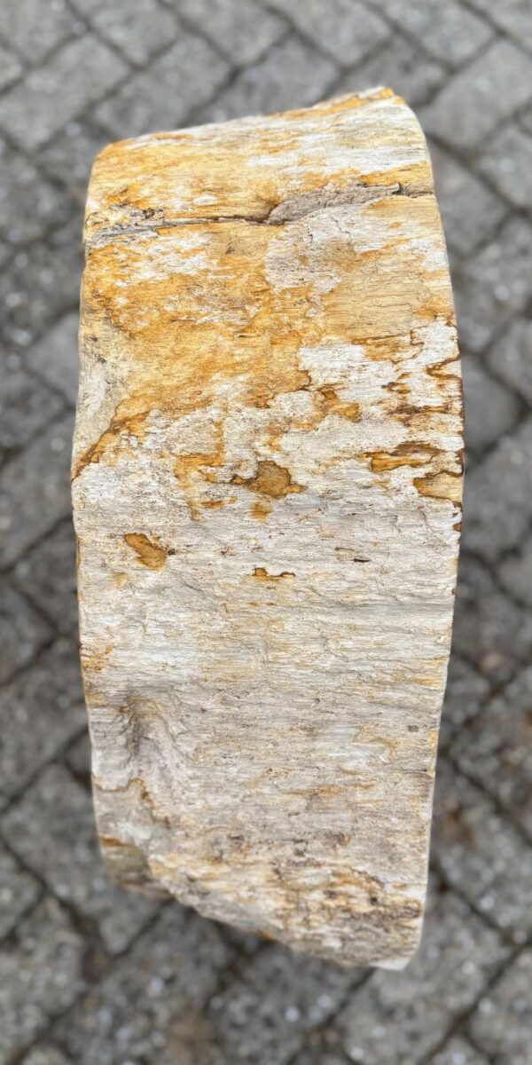 Memorial stone petrified wood 57162