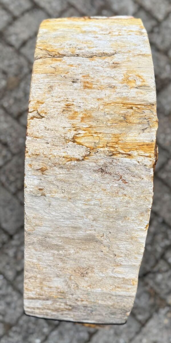 Memorial stone petrified wood 57163