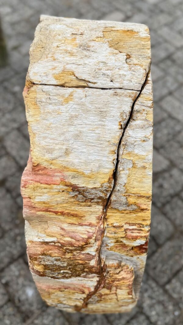 Memorial stone petrified wood 57164