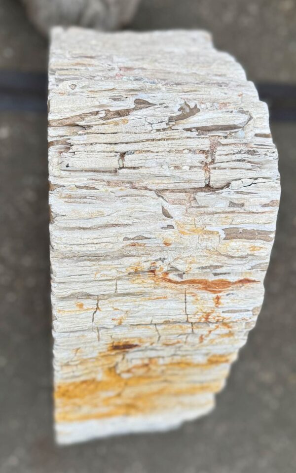 Memorial stone petrified wood 57359