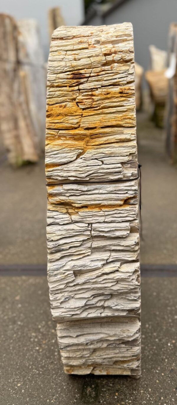 Memorial stone petrified wood 57359