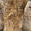 Memorial stone petrified wood 57363