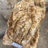 Memorial stone petrified wood 57363