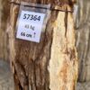 Memorial stone petrified wood 57364
