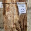 Memorial stone petrified wood 57364