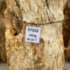 Pierre tombale bois pétrifié 57152