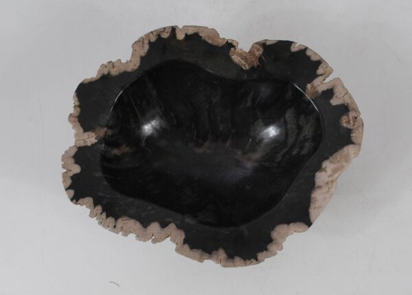 Bowl petrified wood 51336