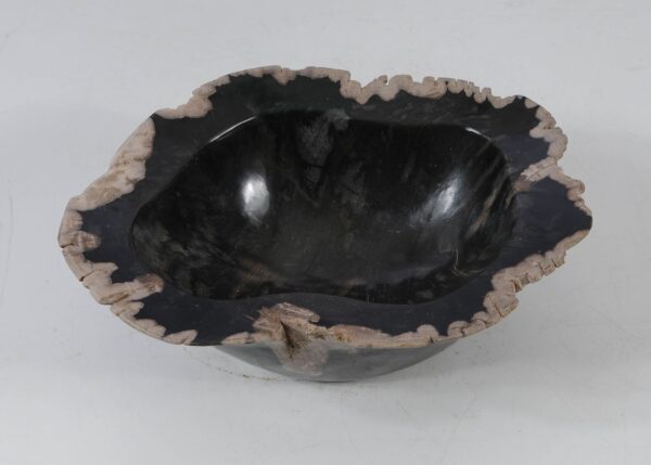 Bowl petrified wood 51336