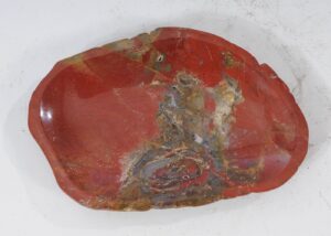 Plate petrified wood 54085