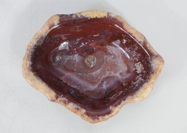 Bowl petrified wood 55339