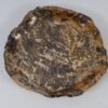 Bowl petrified wood 56004