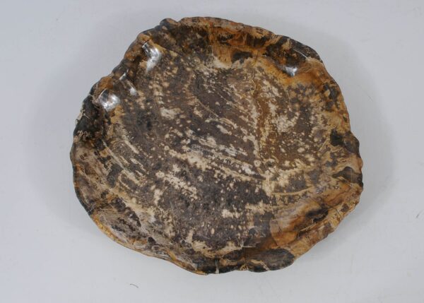 Bowl petrified wood 56004