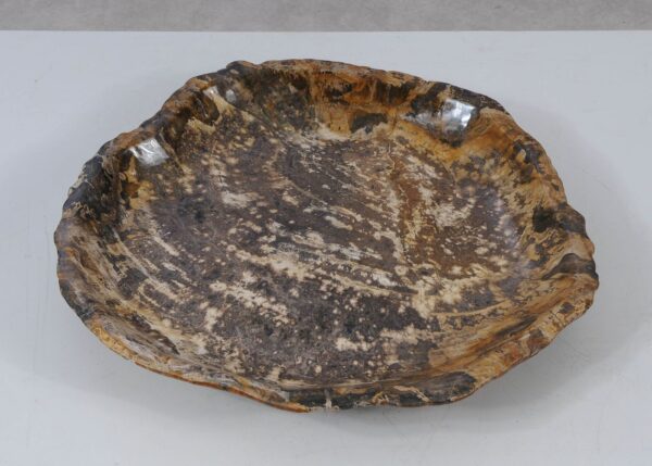 Bowl petrified wood 56004