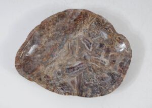 Bowl petrified wood 56005