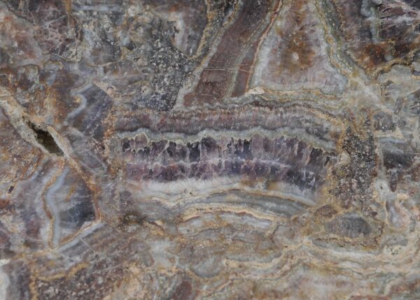 Bowl petrified wood 56005