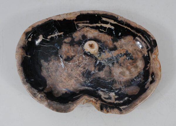 Bowl petrified wood 56010