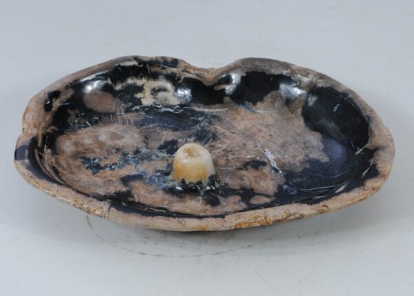 Bowl petrified wood 56010