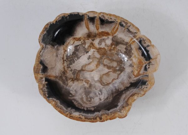 Bowl petrified wood 56014