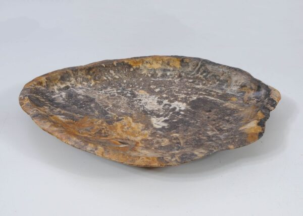 Plate petrified wood 56016