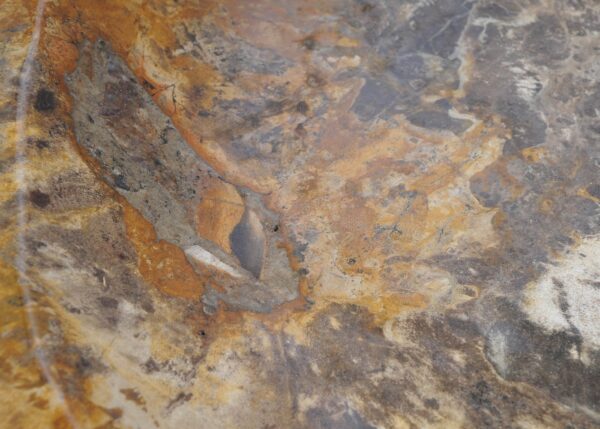 Plate petrified wood 56016