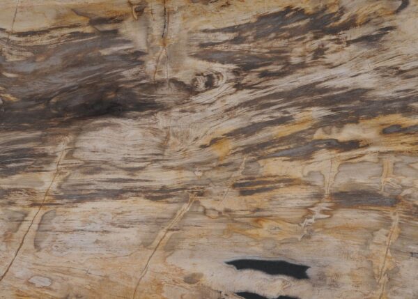 Plate petrified wood 56017