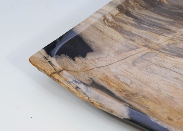 Plate petrified wood 56017