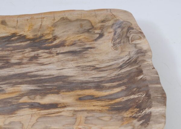 Plate petrified wood 56017