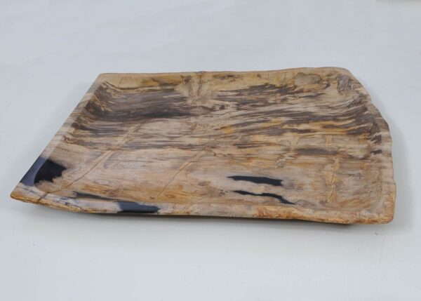 Plate petrified wood 56017