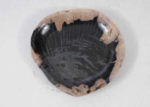 Plate petrified wood 56020