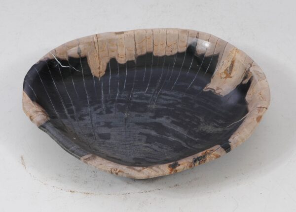 Plate petrified wood 56020