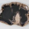 Plate petrified wood 56021