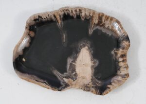 Plate petrified wood 56021