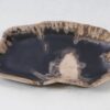 Plate petrified wood 56021