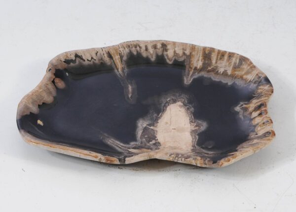 Plate petrified wood 56021