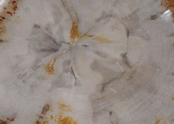 Plate petrified wood 56022