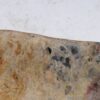 Bowl petrified wood 56023