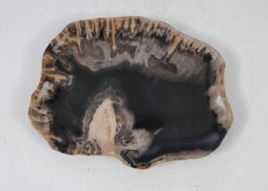 Plate petrified wood 56024