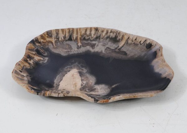 Plate petrified wood 56024