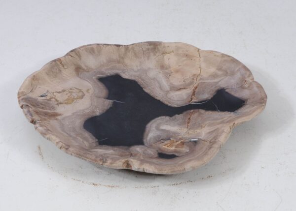 Plate petrified wood 56026