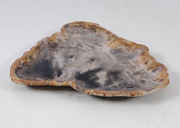 Plate petrified wood 56027