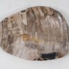 Plate petrified wood 56028