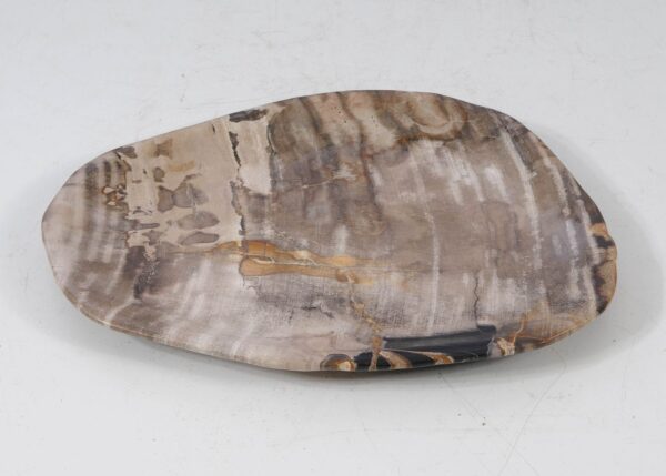 Plate petrified wood 56028