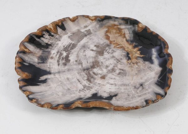 Plate petrified wood 56030