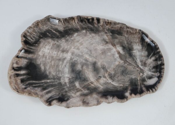 Plate petrified wood 56032