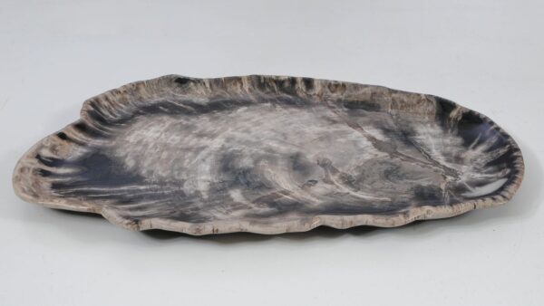 Plate petrified wood 56032