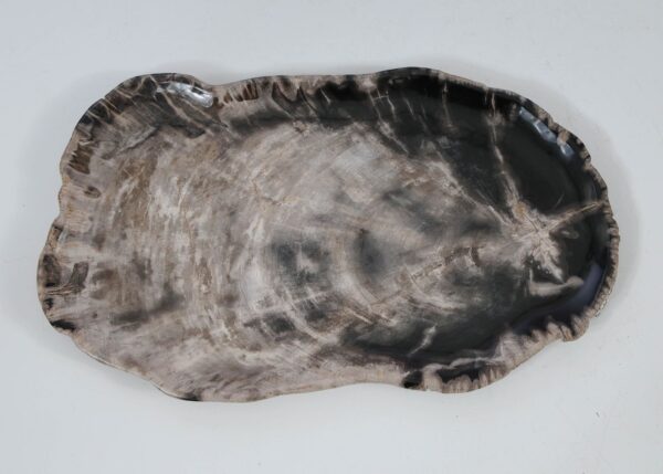 Plate petrified wood 56033