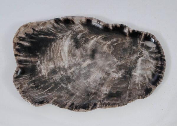 Plate petrified wood 56034